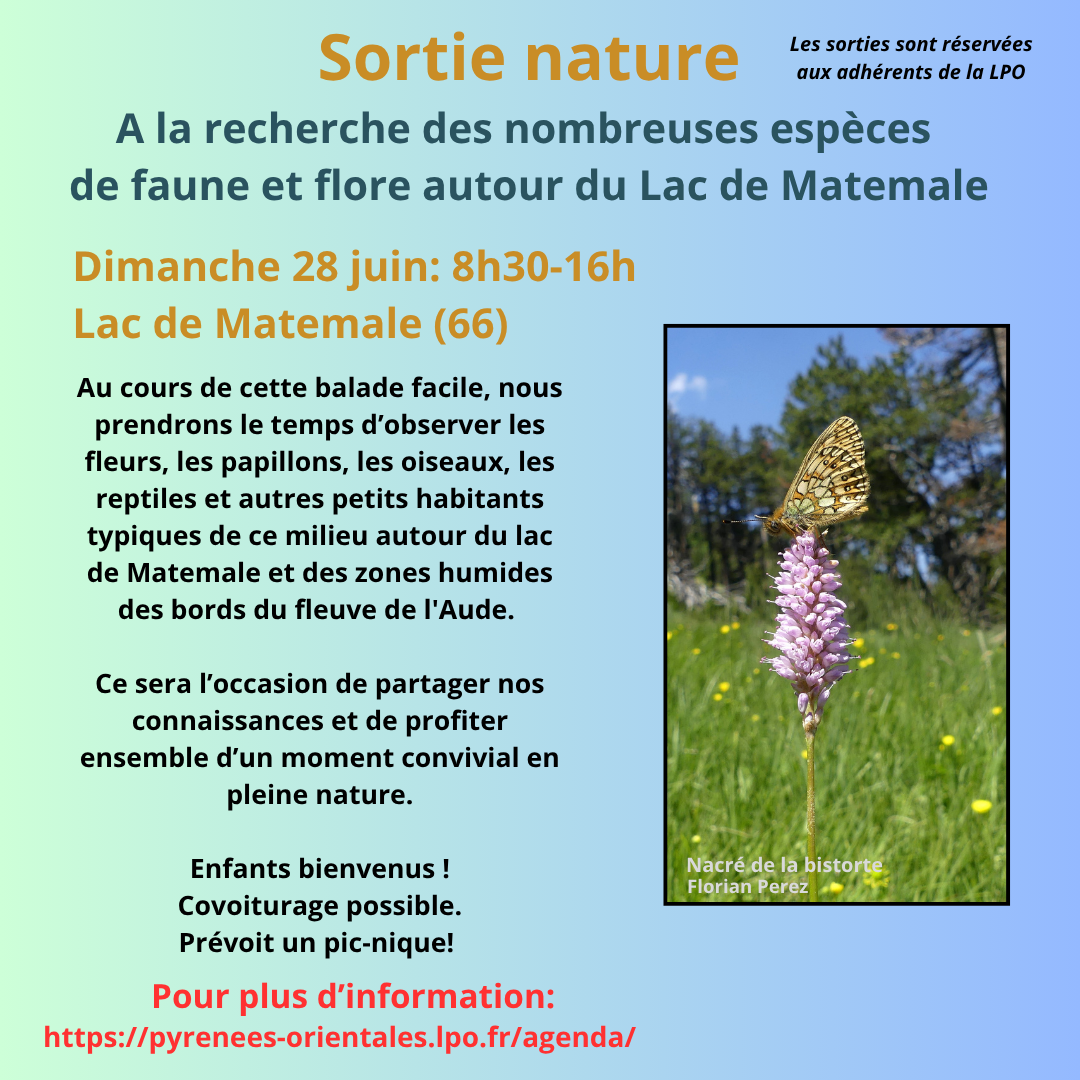 Sortie nature autour du Lac de Matemale, Capcir